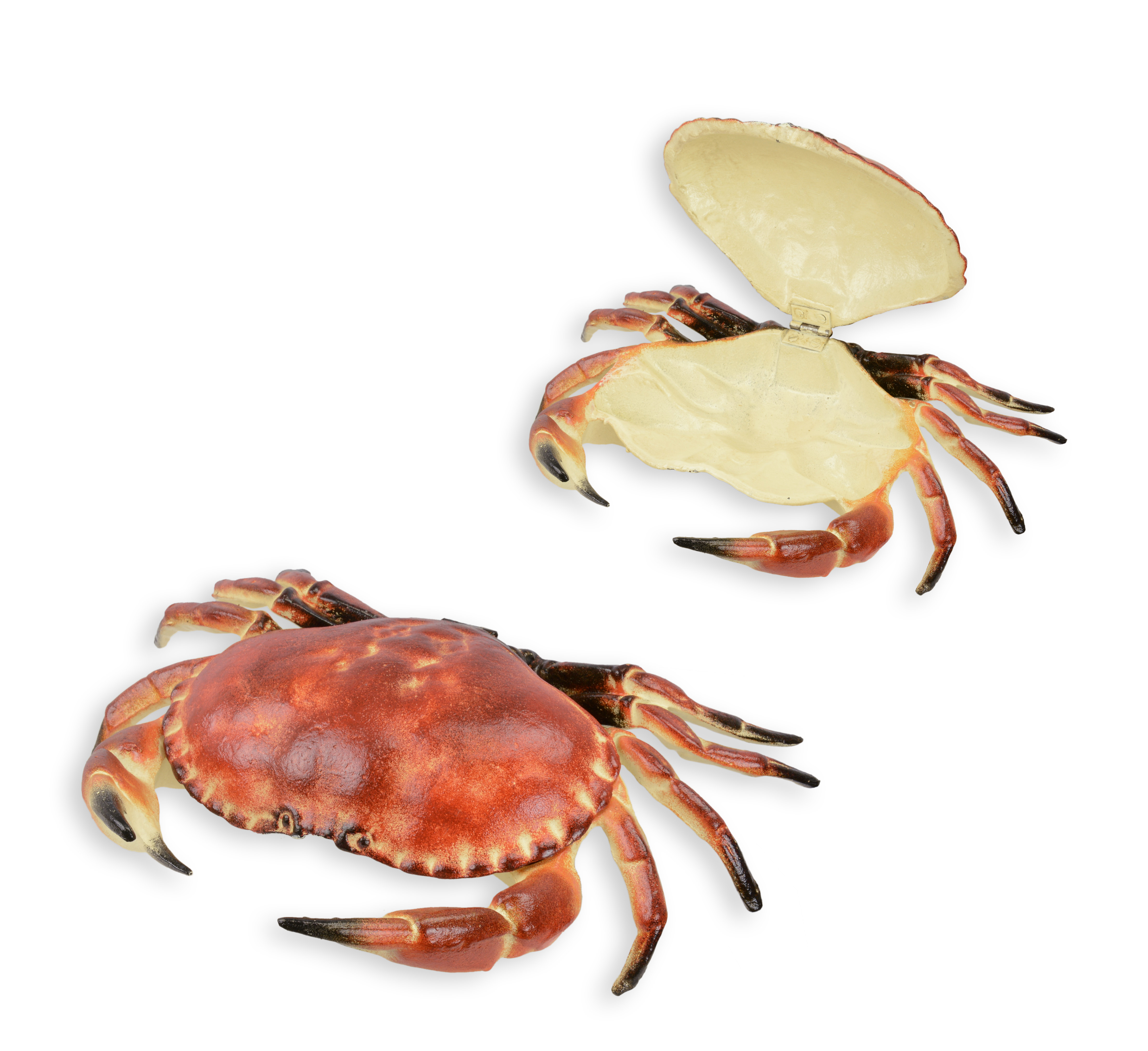 Krabbe, Essen, Leben im Meer, Meeresfrüchte, Hummer