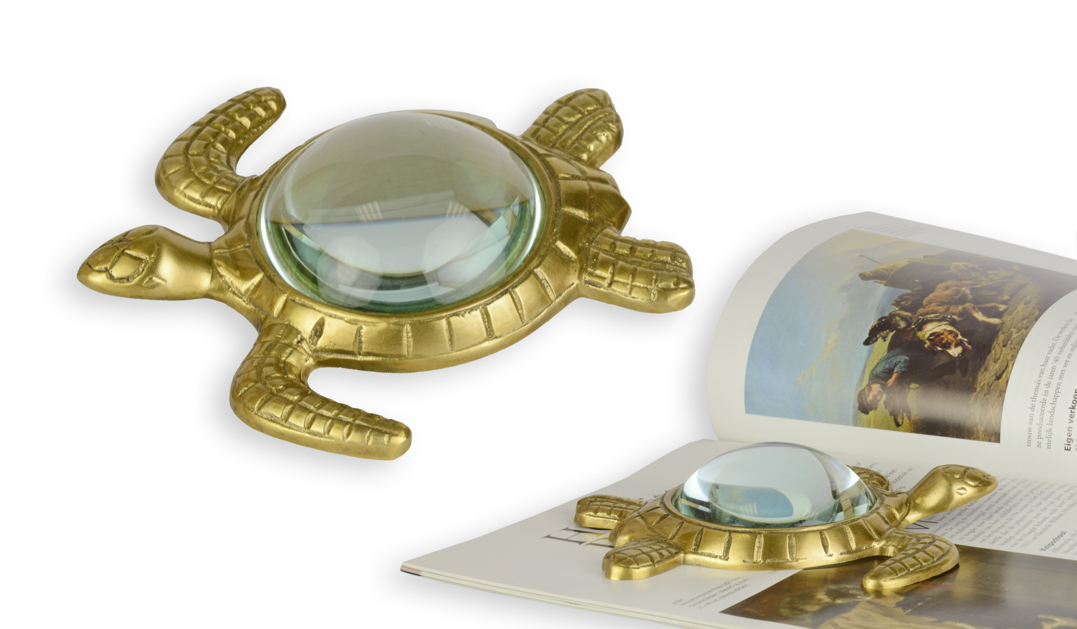 Una lupa con forma de tortuga. réplica diseño retro decoración