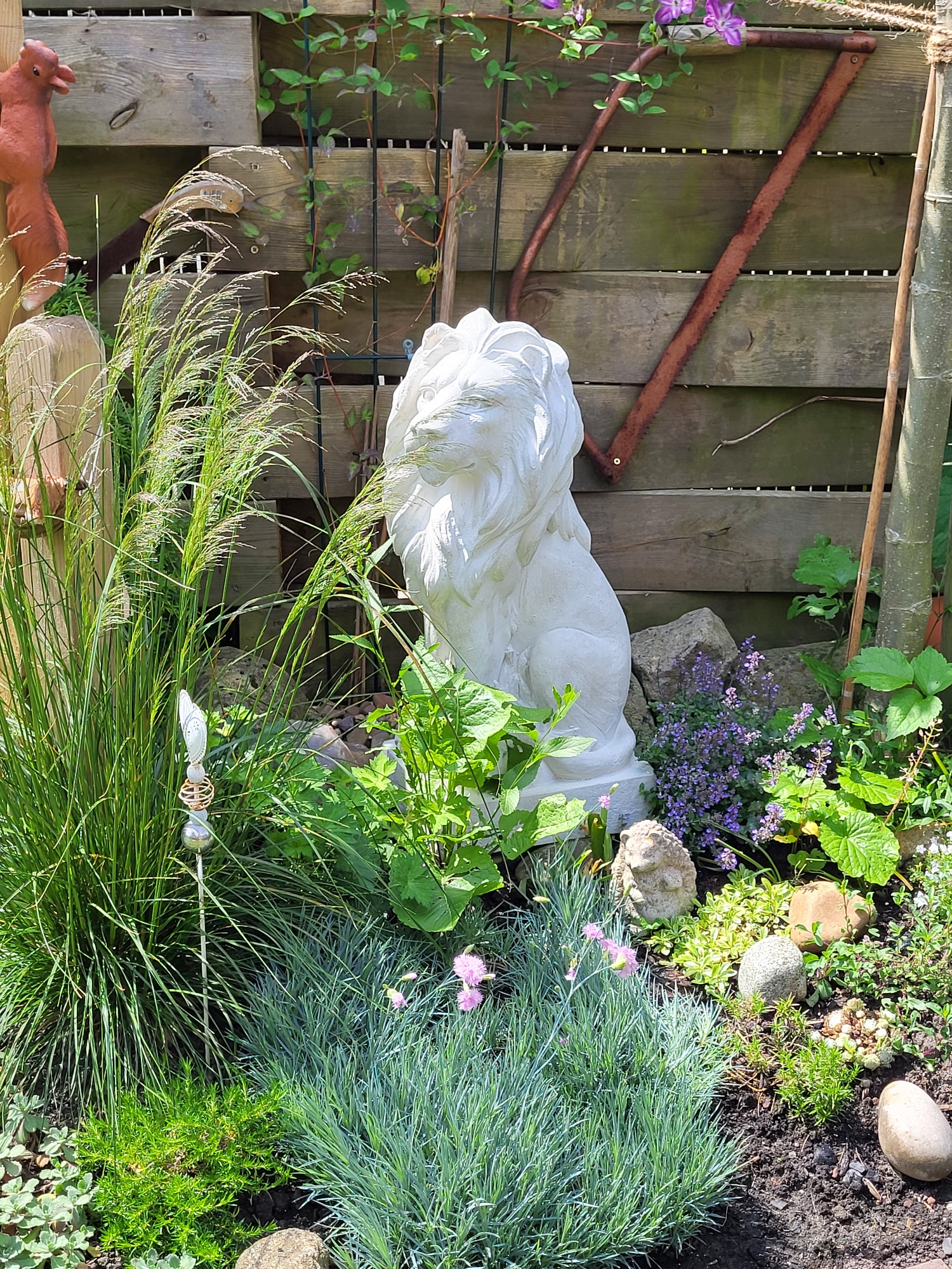 Garten, Pflanzgefäß, Topfpflanze, Kräuterig, Kräuter
