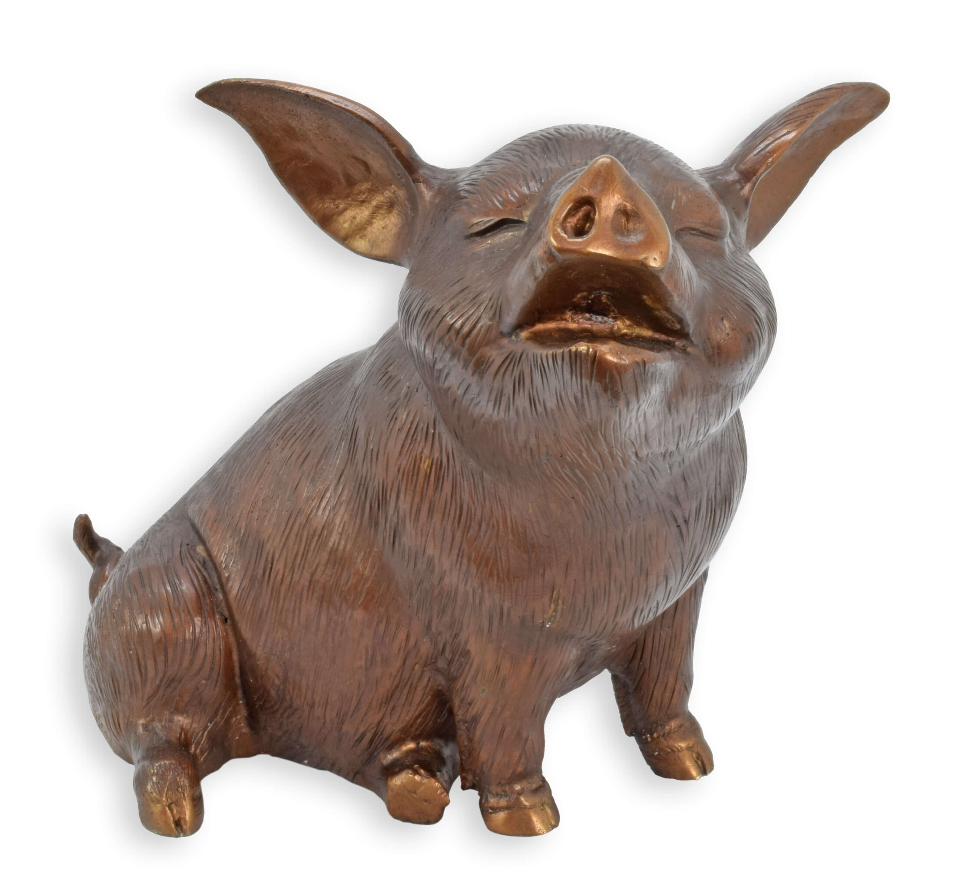 Tier, Säugetier, Schwein