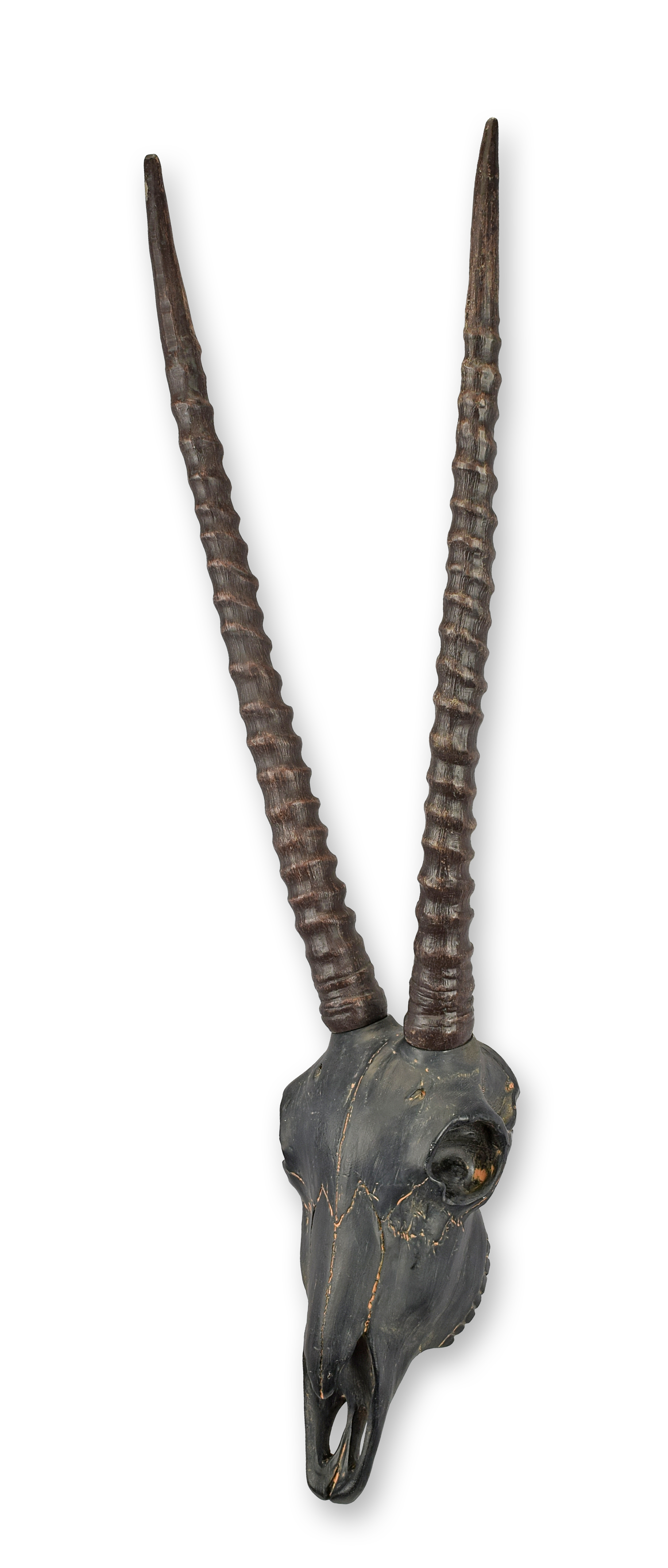 Schwert, Waffe, Tier, Tierwelt, Säugetier