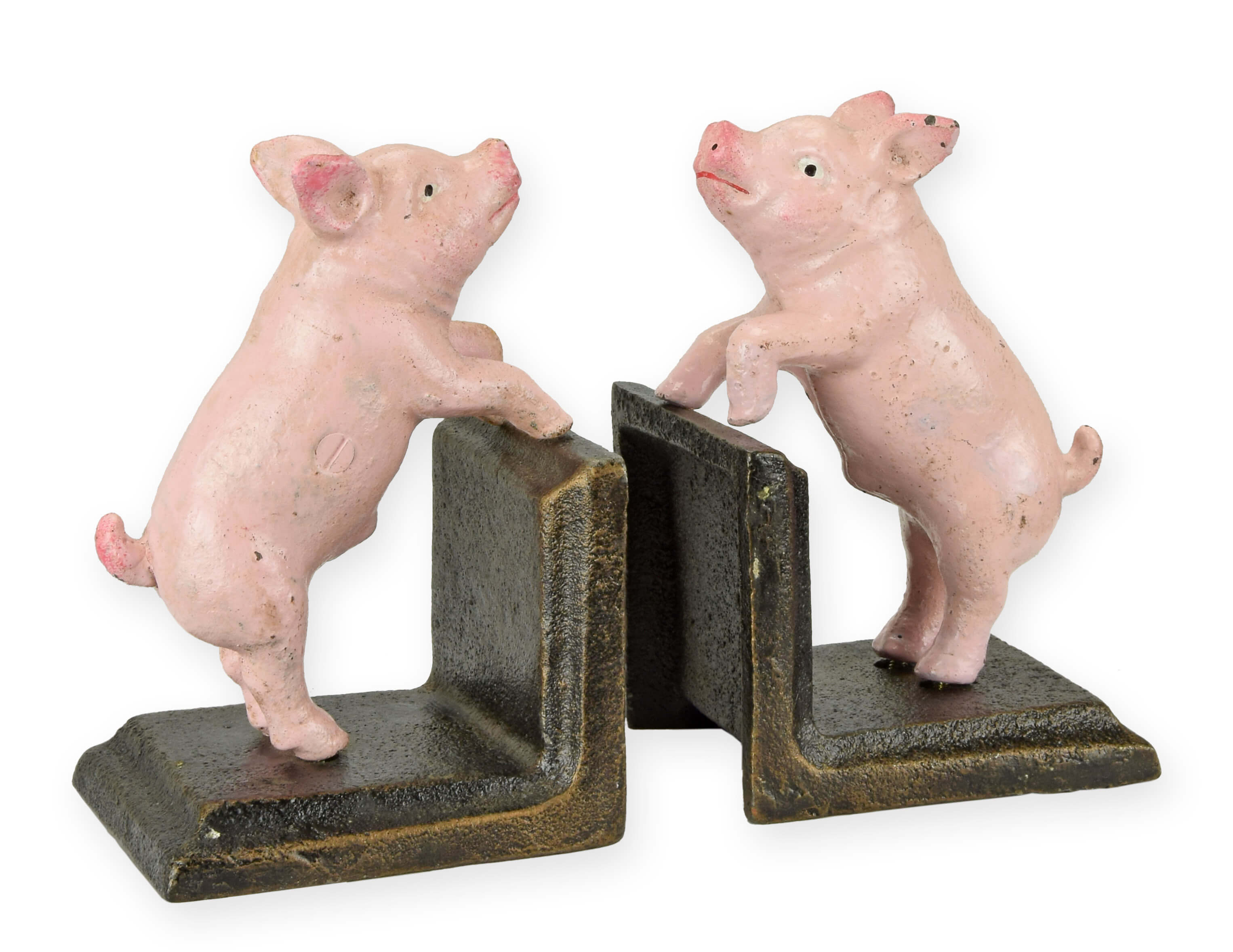 Tier, Säugetier, Schwein