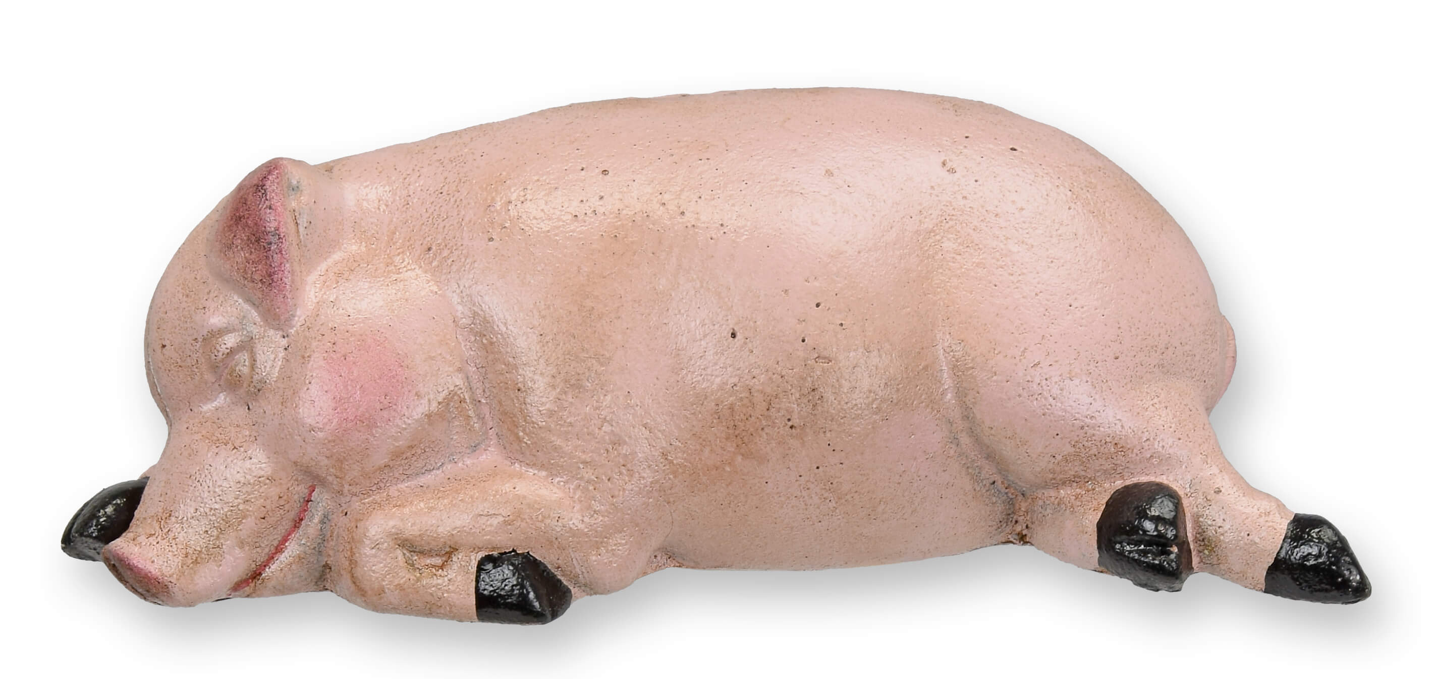 Tier, Säugetier, Schwein
