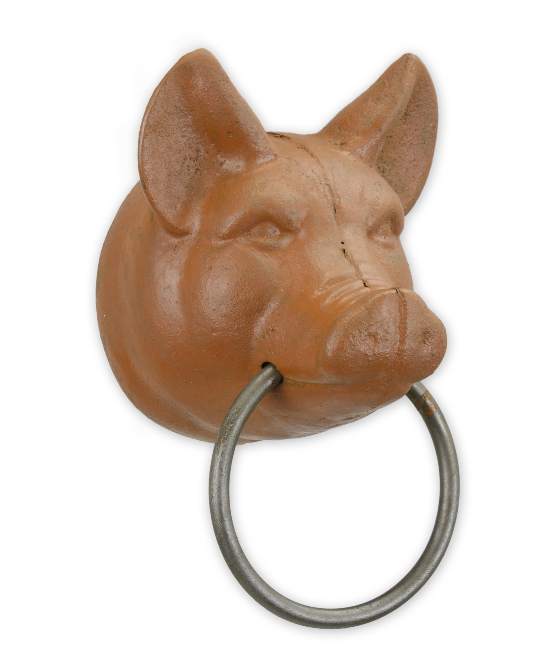 Tier, Hund, Säugetier, Haustier