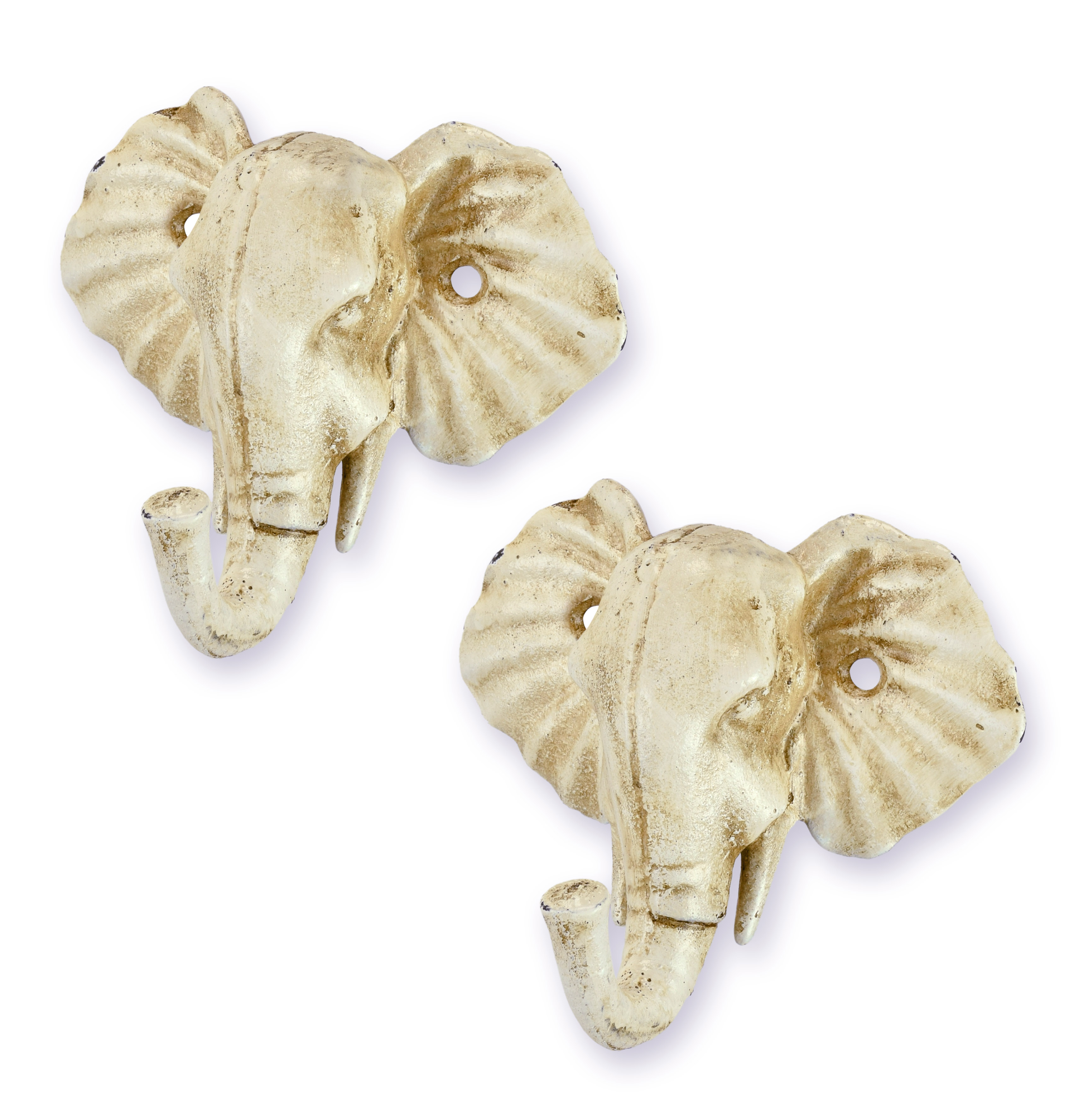 Tier, Elefant, Säugetier, Tierwelt