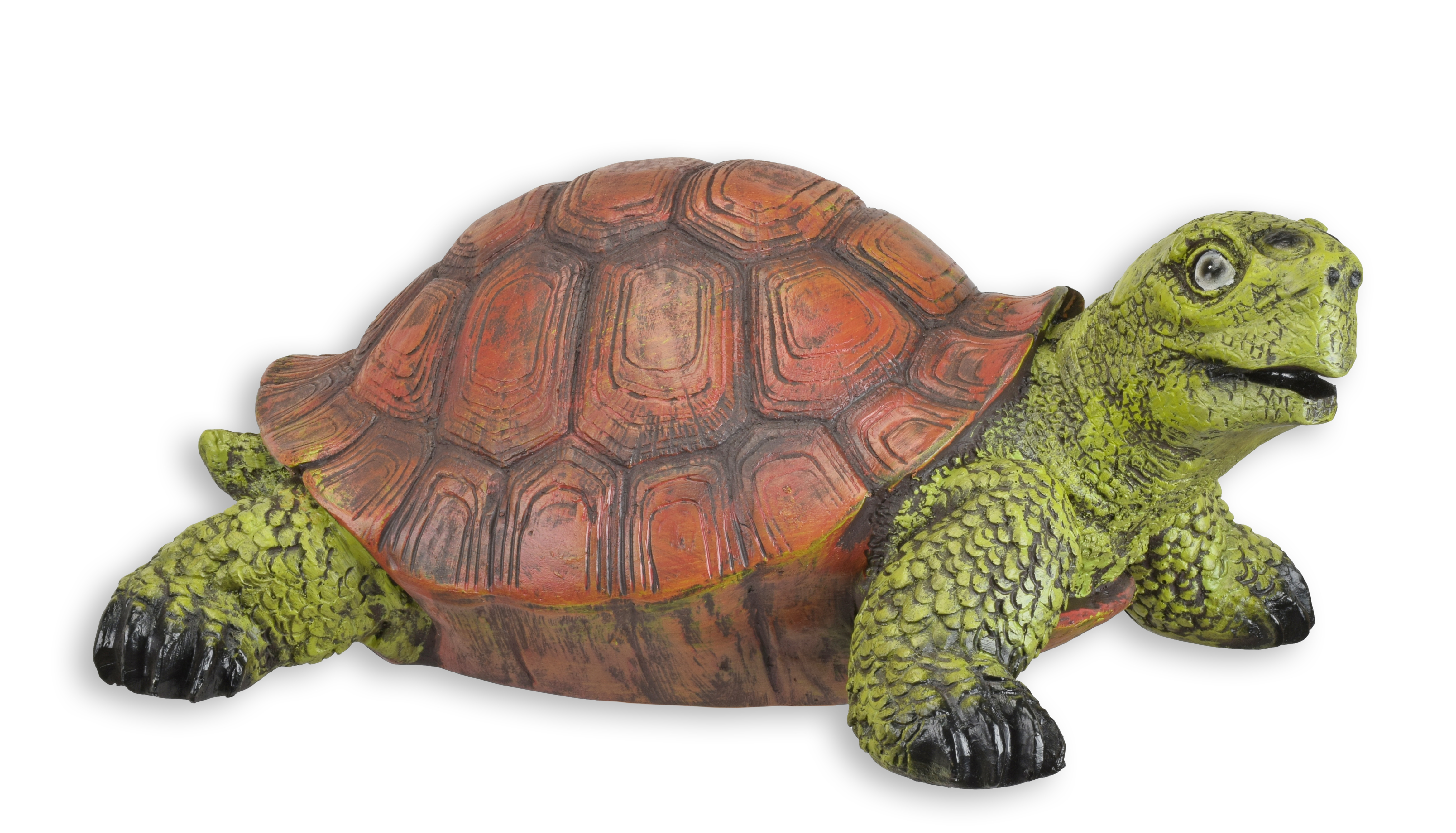 Tier, Reptil, Leben im Meer, Schildkröte